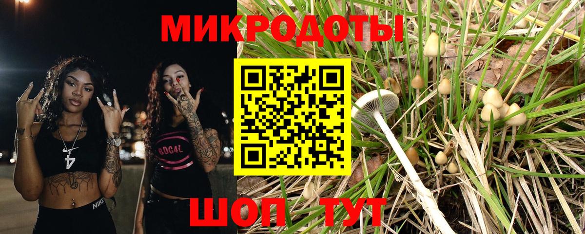 Псилоцибиновые грибы Psilocybe Красный Сулин